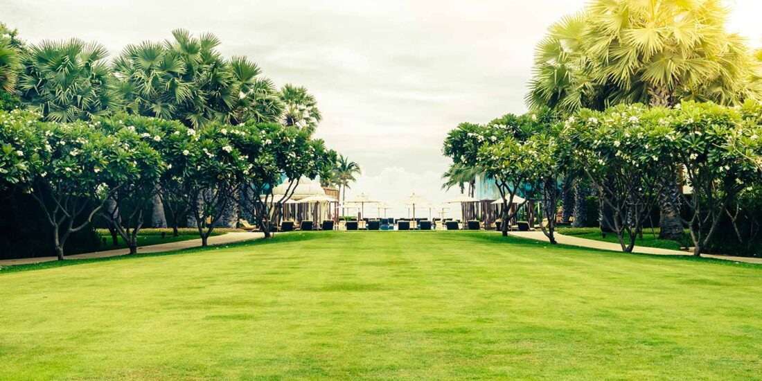 Tailored landscaping designs that reflect each client’s